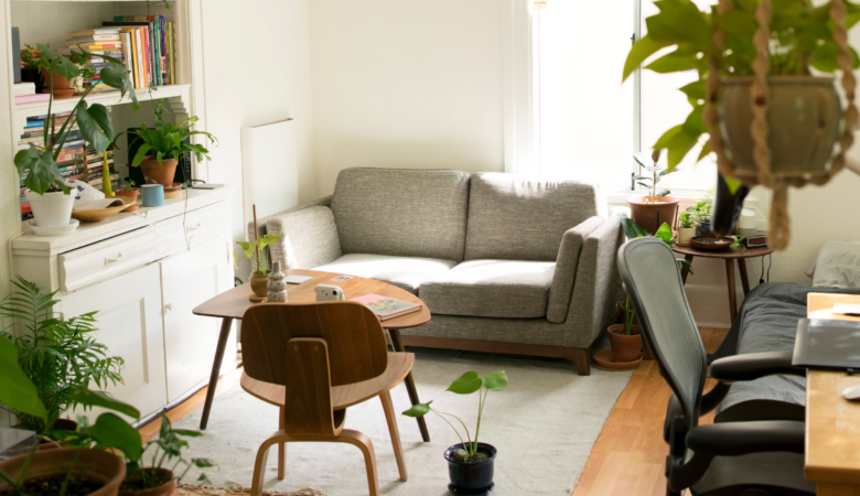 Light Living room with lots of plants