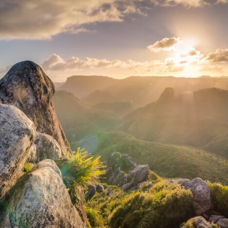 A Writer’s Mind is Never Still