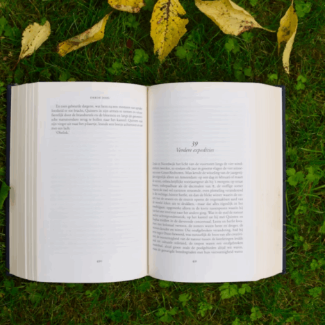 A Writer’s Mind is Never Still