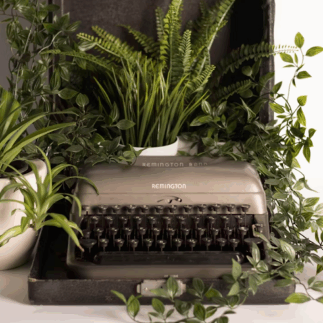 Self-Published, Still Self-Doubting: Learning to Believe I’m a Writer