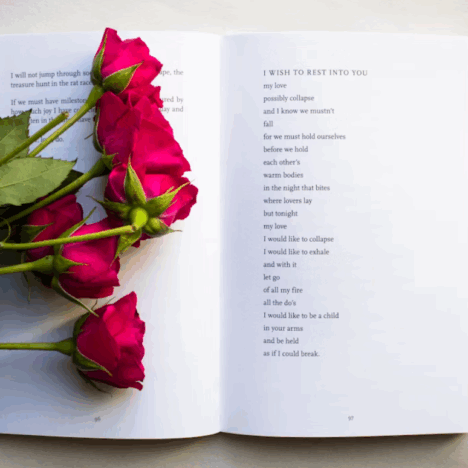 Write the Book Anyway – Someone Needs Your Art