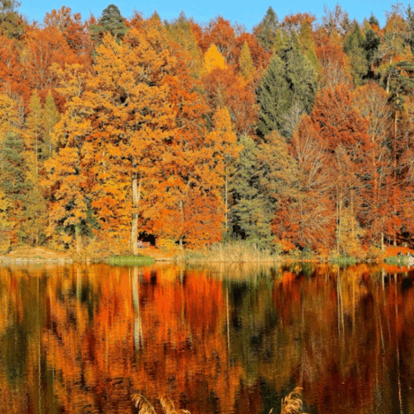 Things I’ve Learned About Self-Publishing a Poetry Book