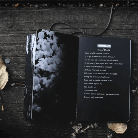 Silent Reflections of a Fragile Heart — One Year On